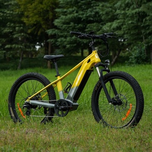 Bicicleta de Carretera con Motor Dual de 1000w, 48v, Sensor de Torque de 26 Nm, Batería Oculta, <span class=keywords><strong>Ebike</strong></span> W03 Beach <span class=keywords><strong>Cruiser</strong></span> W03 - Product Image 1