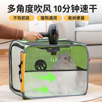 Sèche-cheveux portable pliable pour animaux de compagnie, pour animaux de petite et moyenne taille, chat, chien, boîte de séchage intérieure après le bain, séchage rapide