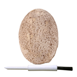 12 Kit de perceuses d'œuf de <span class=keywords><strong>dinosaure</strong></span>, jouets uniques de <span class=keywords><strong>creuser</strong></span>, 12 images de dinosaures, tiges de l'astronomie - Product Image 5