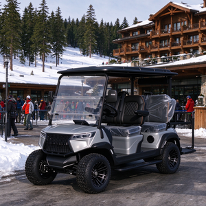 Voiturette de golf surélevée personnalisée 4 places avec batterie au lithium pour la visite des sites de plage - Product Image 1