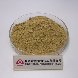 Capsule di Ginkgo Biloba in Offerta, Polvere di Ginkgo Biloba, Estratto di Ginkgo Biloba Conforme agli Standard USP - Product Image 2