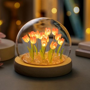 Lámpara de Noche con Forma de Globo de Tulipanes, Control Táctil, Funciona con Batería, Regalo Creativo para Niñas y Mejores Amigas - Product Image 1
