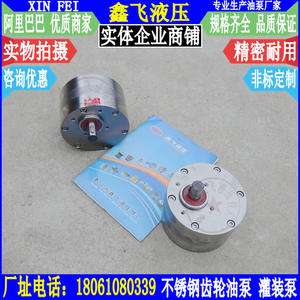 Bombas de Engranajes de Acero Inoxidable CBA-B63, Resistentes a Ácidos y Álcalis, Bombas de Llenado de Productos Químicos y Petróleo, Equipo de Transporte Industrial - Product Image 3