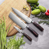 Ensemble de couteaux de cuisine professionnels personnalisés 3 en 1 lame en acier inoxydable avec manche en bois couperet de cuisine ensemble de couteaux de chef d'office