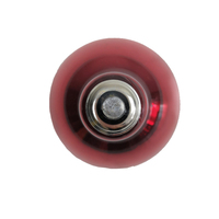 Lampe Chauffante Infrarouge pour Porcelets et Volailles, Équipement d'Élevage à Prix d'Usine pour Fermes