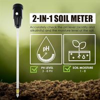 Testeur numérique 2-en-1 de pH et d'humidité du sol - Électrode de 295 mm de long, kit de test pour plantes d'intérieur et d'extérieur