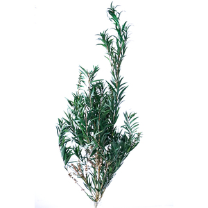 ดอกไม้แห้งประดับ<span class=keywords><strong>พระ</strong></span>พุทธรูป <span class=keywords><strong>ช่อ</strong></span>ดอกไม้แห้งทำมือ ของตกแต่งบ้าน วัสดุ DIY สำหรับวันวาเลนไทน์ วันคริสต์มาส ใช้งานได้ยาวนาน - Product Image 5