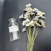 Grosir bunga Violet kering buket bunga yang diawetkan untuk pengaturan bunga DIY dan dekorasi rumah Instagram