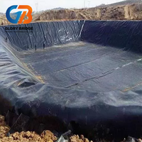 Fabricantes de Revestimientos de Geomembrana HDPE, Protección Contra Infiltraciones, Geomembrana HDPE Estándar GM13 para Revestimiento de Estanques Industriales