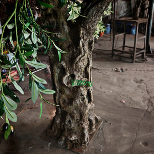 Olivier artificiel personnalisé de haute qualité-Résistant aux UV pour patio extérieur, faible entretien pour usage commercial et résidentiel - Product Image 5