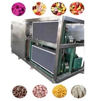 50Kg 5m2 Kleinschalige Thuis Commerciële Vacuüm Voedsel Spray Vriesdroger Groente Fruit Lyofilisator Machine Voor Snoep Snoep