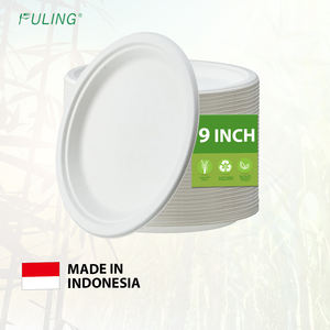Fuling 9 Inch Wegwerp Composteerbare Papieren Borden Biologisch Afbreekbare Suikerriet Bagasse Natuurlijke Ongebleekte 9 "Diner Papieren Bord - Product Image 1
