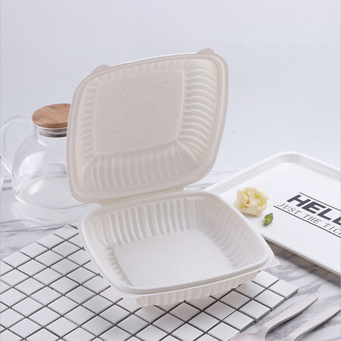 Box Packaging Food For Lunch Kids Leakproof 5 Compartment Boxes