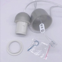 Lampe suspendue créative personnalisée Ruyi DT-007 pour salon, en plastique et cuivre, légère, sans batterie, 250V, garantie 3 ans