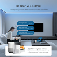 Contrôleur LED RGB IoT double mode SP543E avec télécommande, commande vocale, synchronisation avec haut-parleur intelligent, capture musicale, étanche, garantie 5 ans