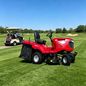 <span class=keywords><strong>Tondeuse</strong></span> autoportée à essence de type tracteur pour la coupe de l'herbe sur de grands terrains résidentiels et agricoles - Product Image 1