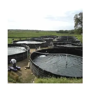 最优惠的价格0.5毫米1毫米Hdpe土工膜大坝填埋场水产养殖场池塘班轮