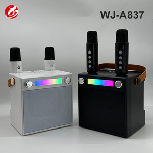 Mini Altoparlante Portatile con Microfono, Speaker Karaoke, Amplificatore Stereo 3D, Super Bass, Lettore Musicale per Sport all'Aperto - Product Image 6