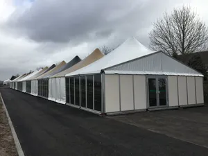 10x12 10x15 10x20 10x30 10X40 10x50 выставочный белый ПВХ 20x30 шатер для свадебного зала, палатка для вечеринки на 50 100 300 500 человек