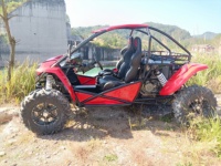 Buggy de plage 1000cc 2 places tout-terrain Renli pour la plage et le désert avec homologation CEE
