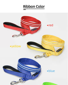 USB ricaricabile incandescente sicurezza LED guinzaglio del cane per camminare il cane di notte - Product Image 5
