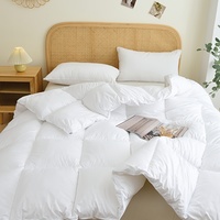 Ensemble de couette 3 pièces en polyester tissé effet peau de pêche, lavable, style chinois, léger