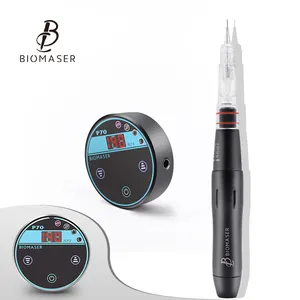 Mini Powerful Bio maser Permanent Makeup Machine Kits P70 Tragbare Augenbrauen Tattoo Permanent Makeup Machine