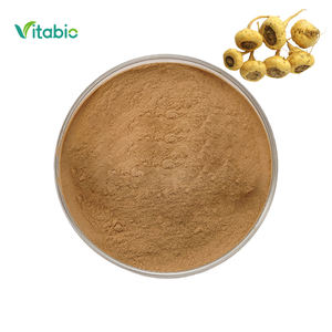 Groothandelsprijs Maca Poeder voor Mannen Macamide 0,6% Zwarte Maca Wortel Extract Poeder - Product Image 1