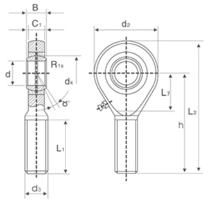 - - Gar..do Bibo Gar..do Series Zinc Plated Ball Joint Bearing Rod End for Auto Parts with Left or Right Hand Male Thread - Product Image 2