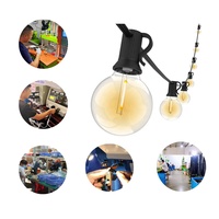 Guirlande lumineuse LED Edison incassable de 15 mètres (25/50 ampoules) étanche G40 pour jardin, lumières de Noël