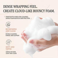 Mousse Nettoyante Quotidienne Douce et Hydratante aux Acides Aminés, Contrôle du Sébum et Anti-Acné, Nettoyant Visage Moussant en Marque Blanche