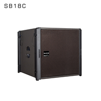 Système audio professionnel d'extérieur Boombox à réseau linéaire de 10 pouces Premium Single Series