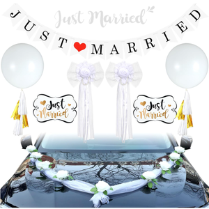 Striscioni 'Just Married', Bandiere, Accessori per Foto, Palloncini Giganti in Lattice con Elio, Nappe, Fiori di Seta, Ghirlande e Nastri per Forniture per Feste di Matrimonio - Product Image 1
