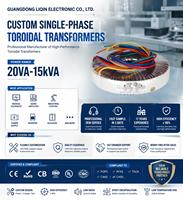Transformateur toroïdal monophasé personnalisé de 100W à 50KW pour usage médical