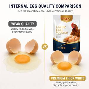 Aditivos para Alimento de Gallinas Ponedoras para Mejorar la Cantidad de Huevos y Prolongar el Ciclo Natural de Puesta - Product Image 4