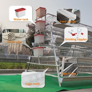 Nuevas Jaulas para Aves <span class=keywords><strong>de</strong></span> Corral Tipo Gallinas Ponedoras, Acero Galvanizado en Caliente, Capacidad para 90-160 Aves, Certificación ISO9001 - Product Image 3