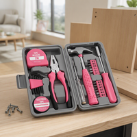 Ensemble d'outils ménagers roses avec pinces, tournevis, ruban à mesurer, clés hexagonales, marteau pour usage domestique