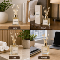 Ensemble diffuseur de parfum en verre personnalisé avec bâtonnets d'huiles essentielles sans plomb, capacité de 50 ml, pour la fragrance d'intérieur