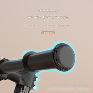 Vélo d'équilibre pour enfants de 12 pouces adapté aux enfants de 2 à 6 ans, vélo coulissant sans pédales, vélo d'équilibre en alliage de magnésium - Product Image 3