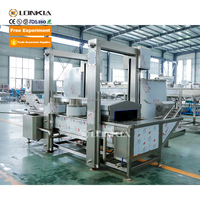 Lonkia 500Kgh Frietjes Aardappelvlokken Bananenchips Chips Maken Productielijn Machine Chips Frituurmachine