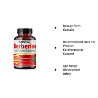 Capsules de berbérine HCL, cannelle de Ceylan et chardon-Marie, complément végétalien pour la santé immunitaire et intestinale des adultes, non destiné aux femmes enceintes