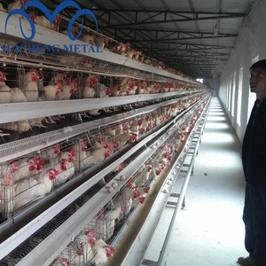 <span class=keywords><strong>2025</strong></span> התאמה אישית חדשה מכירות עופות החווה אוטומטית טבל חם לטבול שכבה גלווני עם איכות גבוהה הסיטונאי - Product Image 5