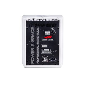 Columna de altavoz DSP <span class=keywords><strong>activa</strong></span> de rendimiento en vivo, altavoz de rango completo con dientes azules, USB, <span class=keywords><strong>FM</strong></span> y grabación - Product Image 3