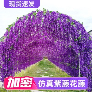 Guirlande de glycines artificielles Masayuki en soie violette pour mariage, décoration intérieure, accessoires de photographie en extérieur - Product Image 3