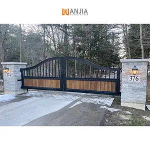 Khuyến mại mới nhất thiết kế hiện đại cửa sắt thiết kế đường lái xe đôi cửa sắt cửa wrought sắt cổng - Product Image 1