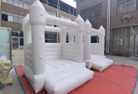 Château gonflable Apexscn View pour enfants, 2,5 x 2,5 m, en PVC, facile à installer, garantie 1 an, portable, pour l'extérieur – Vente chaude en Chine