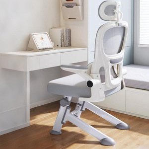 Silla <span class=keywords><strong>de</strong></span> <span class=keywords><strong>estudio</strong></span> <span class=keywords><strong>de</strong></span> escritorio <span class=keywords><strong>de</strong></span> malla cómoda <span class=keywords><strong>de</strong></span> altura ajustable <span class=keywords><strong>para</strong></span> <span class=keywords><strong>adolescentes</strong></span> y estudiantes <span class=keywords><strong>de</strong></span> secundaria <span class=keywords><strong>para</strong></span> uso en el hogar o el dormitorio - Product Image 1