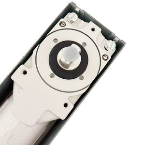 Hot bán Heavy Duty 300kg đôi Định vị tầng mùa xuân tầng bản lề chính xác đúc Glass cửa mặt đất mùa xuân thiết kế hiện đại - Product Image 4