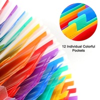 AFFISURE Classeur à soufflets A4 à 13 pochettes, organiseur de documents en PP coloré arc-en-ciel, classeur extensible avec boucle