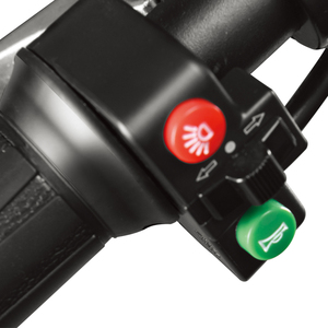 Scooter électrique City Coco avec certificat EEC - Product Image 4